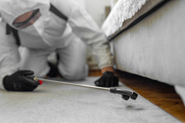 Professional Bed Bug Control technician working in Hoyt Lakes, MN